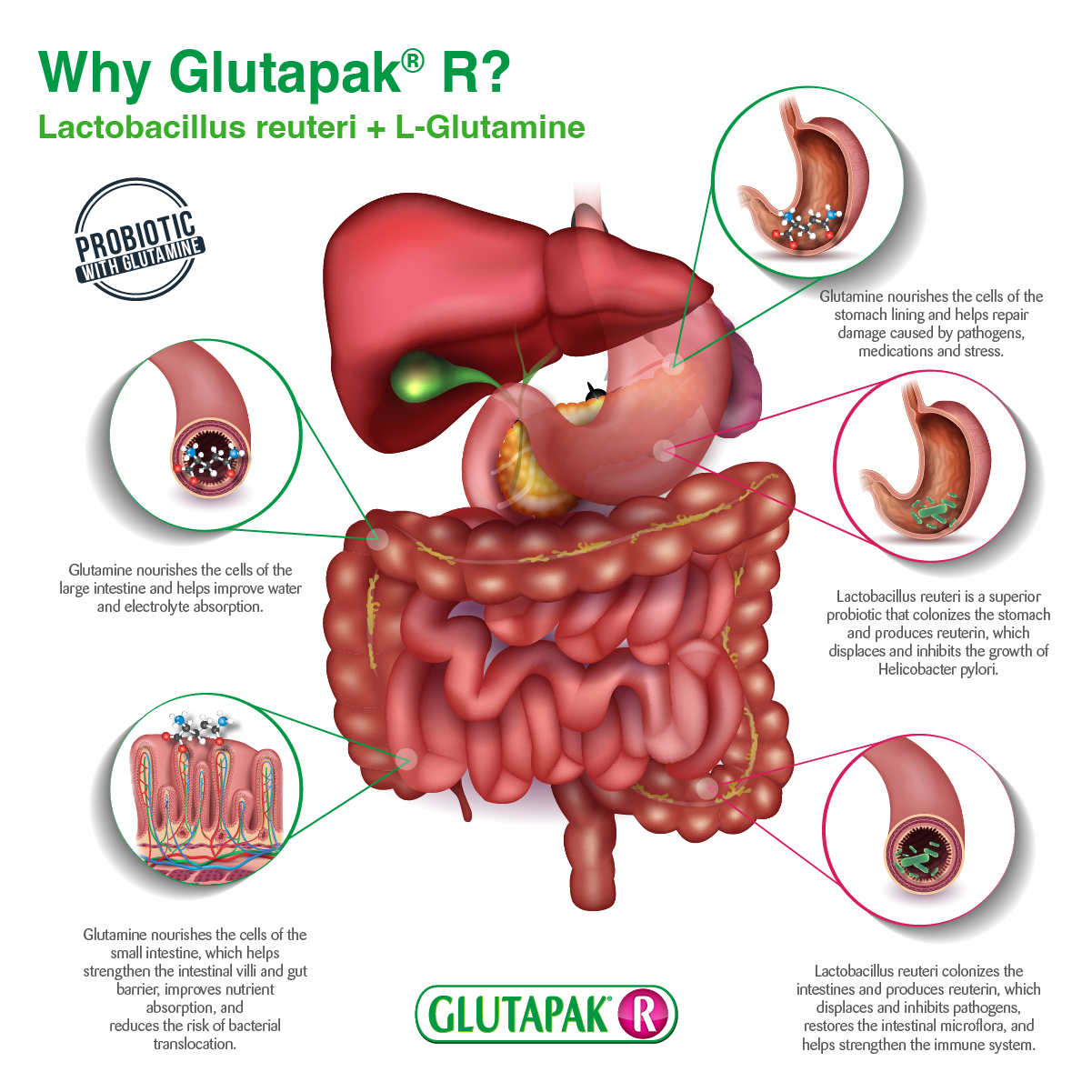 Glutapak® R